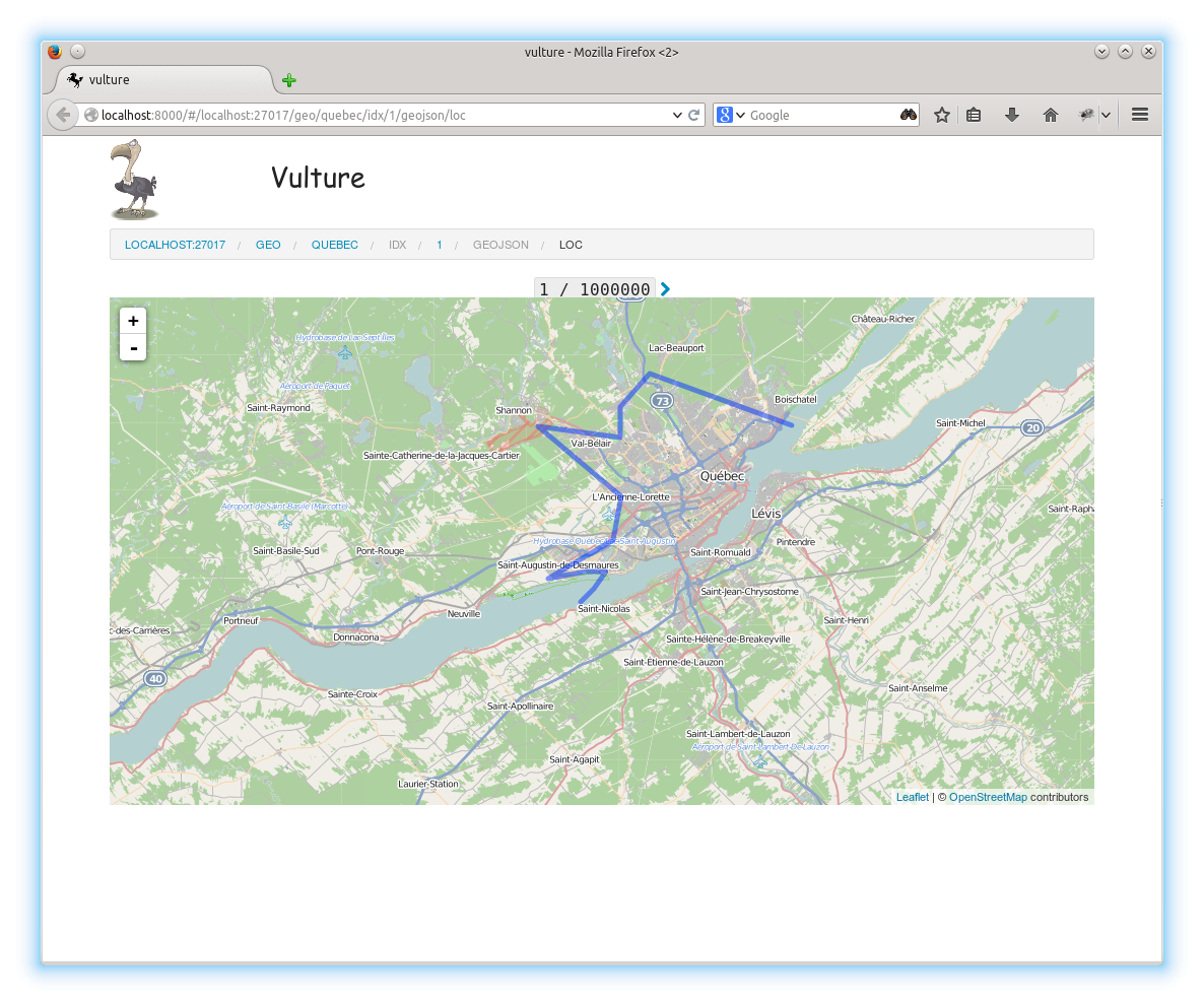 geojson view